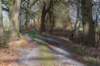 drentscheaa_011_small.jpg