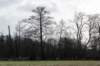 drentscheaa_013_small.jpg