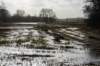 drentscheaa_014_small.jpg