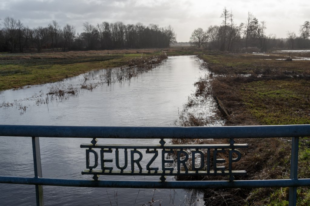 drentscheaa_015.jpg
