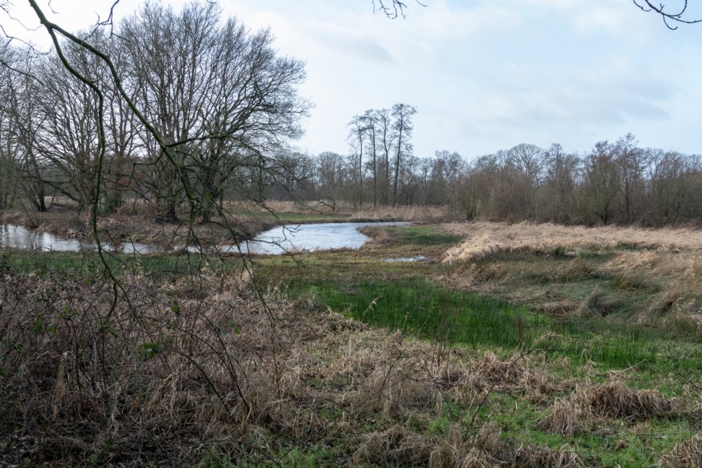 drentscheaa_018.jpg