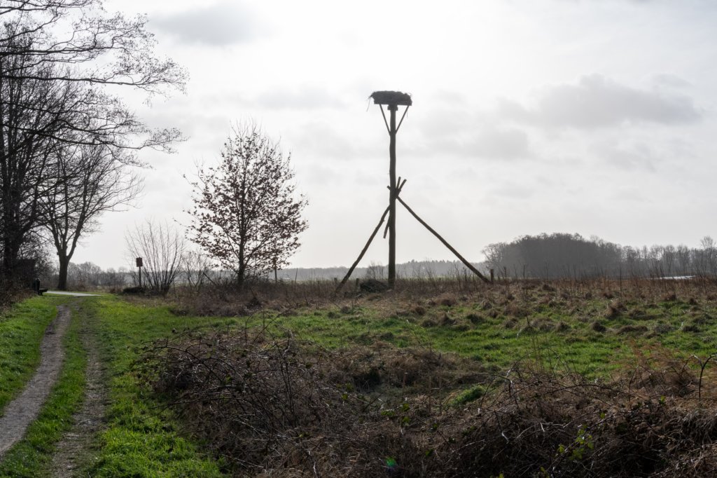 drentscheaa_020.jpg