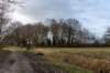 drentscheaa_022_small.jpg