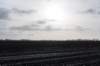 drentscheaa_023_small.jpg