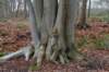 drentscheaa_025_small.jpg