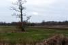 drentscheaa_027_small.jpg
