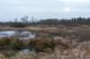 drentscheaa_028_small.jpg
