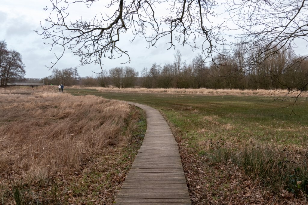 drentscheaa_032.jpg