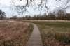 drentscheaa_032_small.jpg