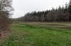 drentscheaa_033_small.jpg