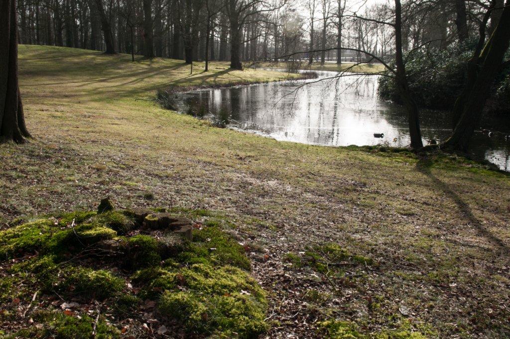 drzeist_001.jpg