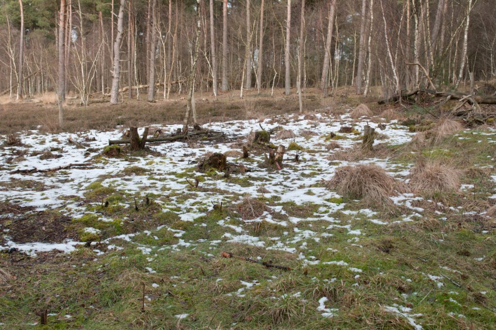 drzeist_003.jpg