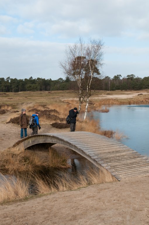 drzeist_005.jpg