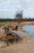 drzeist_005_small.jpg