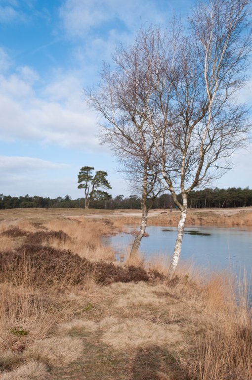 drzeist_008.jpg
