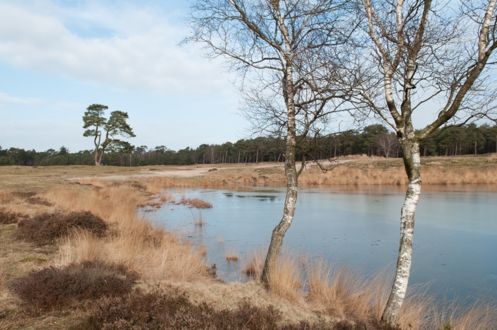 drzeist_009.jpg