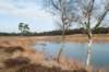 drzeist_009_small.jpg