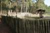 drzeist_010_small.jpg