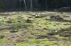 drzeist_011_small.jpg