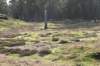drzeist_012_small.jpg