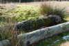 drzeist_014_small.jpg