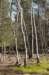drzeist_015_small.jpg
