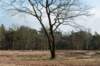 drzeist_016_small.jpg