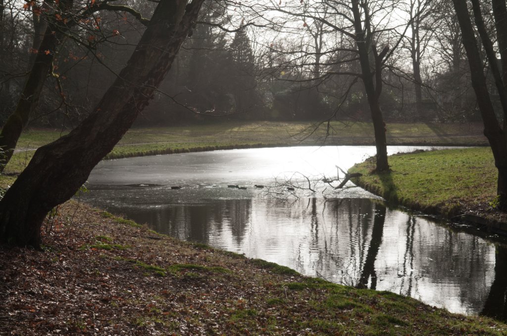 drzeist_017.jpg
