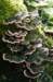 drzeist_018_small.jpg