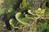 drzeist_019_small.jpg