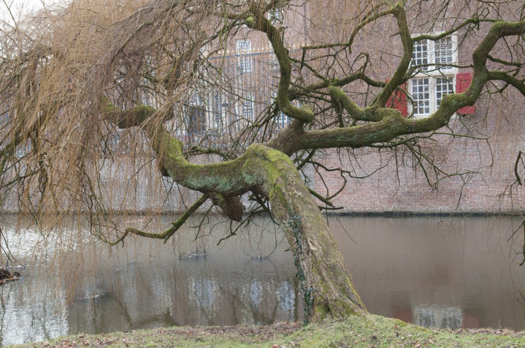 drzeist_025.jpg