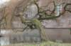 drzeist_025_small.jpg