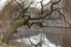 drzeist_026_small.jpg