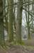 drzeist_027_small.jpg