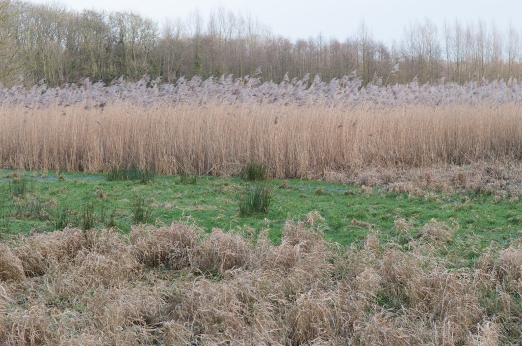 drzeist_030.jpg