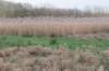 drzeist_030_small.jpg