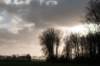 drzeist_031_small.jpg