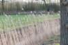 drzeist_033_small.jpg