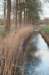 drzeist_034_small.jpg