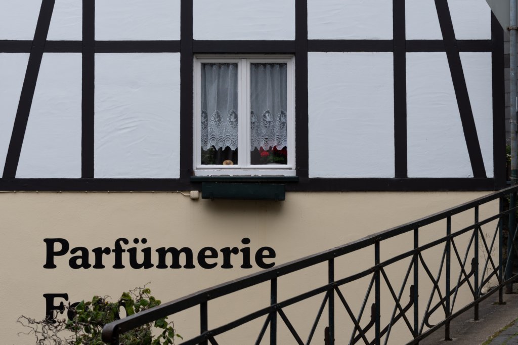 eifel2020_005.jpg