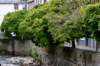 eifel2020_010_small.jpg