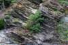 eifel2020_014_small.jpg