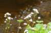 eifel2020_015_small.jpg