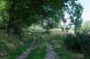 eifel2020_019_small.jpg