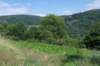 eifel2020_020_small.jpg
