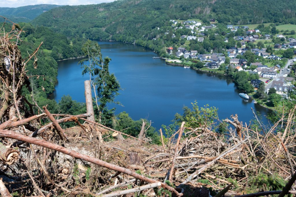 eifel2020_021.jpg