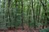 eifel2020_027_small.jpg