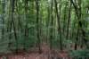 eifel2020_028_small.jpg