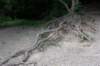 eifel2020_032_small.jpg