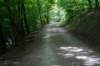 eifel2020_041_small.jpg